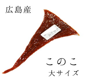 Ε Mtg  ̂ 1i20`30gjzn  Mtg o`R N`R o`q ̎q q p Ε hV̓ y励̂z Ⓚ