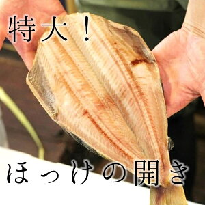 ق J  TCY 1i500gj yzbPz Ⓚ