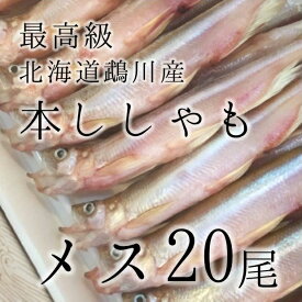 お中元 ギフト 干物ギフト 最高級 本ししゃも 特大サイズ 北海道 鵡川産 メス 特大20尾！豊洲直送 贈答用 干物 お歳暮 御歳暮【本シシャモメス20尾】 冷凍