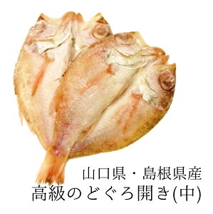 Ε Mtg ̂ǂ  TCY 130-150g ×2 LF Ⓚ ̂ǂ늱(銱)(mhO/̂Ǎ)  Mtg  蕨 pymhO140gx2z Ⓚ