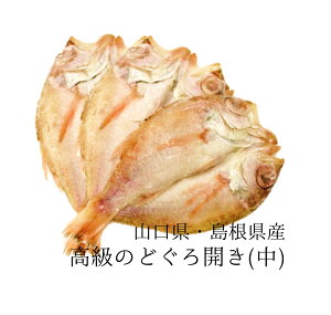 Ε Mtg ̂ǂ  TCY 130-150g ×3 zn hV̓ Ⓚ ̂ǂ늱(銱)(mhO/̂Ǎ)  Mtg  蕨 pymhO140gx3z Ⓚ