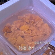 特選 アカウニ（塩水ウニ） 愛媛県今治産 100g【今治塩水ウニ100g】豊洲直送 冷蔵