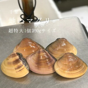 VR n͂܂ ijTCYi180-200g/j1kg tY BBQɂ͍œKIo`̎|ႤI MtgmLFnnn}O n@o[xL[ CN BBQ Ε Εynn}200