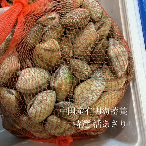 ���i�摜