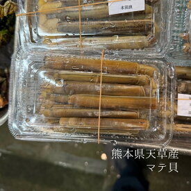 天草マテ貝 200g 熊本県産 冷蔵 豊洲直送 加熱用