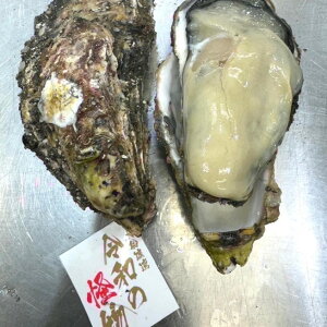  kty ߘả Hp ^y v5iTCYE1200gj 茧DnYyߘả30x5zLF ①