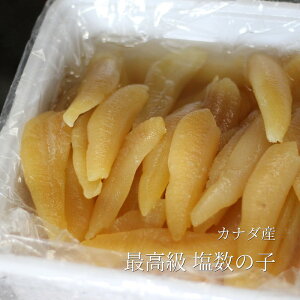 ̎q Y Y VR[LF] AJEJi_Y V 500g TCY ƒpyJi_Y̎qz ①