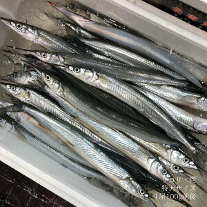 T YiE|jLF 500g ׋ hgyT500gz ①