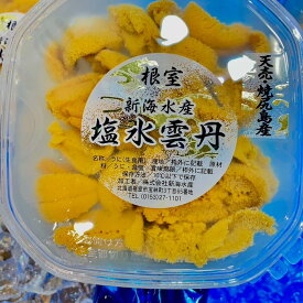 北海道産 塩水ムラサキウニ 100g 冷蔵配送 夏が旬 濃厚な旨味と甘み 塩水ウニ うに 雲丹｜豊洲Okawari鮮魚店