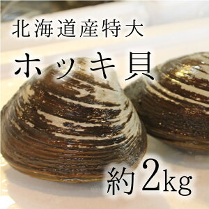 北寄貝 貝の人気商品 通販 価格比較 価格 Com