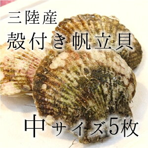 z^e ktz^e TCY CN o[xL[ 150g/ v5(750g)LF@{ OY  BBQ  قāyJz150gx5z ①