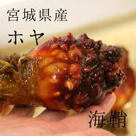 ホヤ 宮城県産 10個入り(約150-200g/1個) 豊洲直送 ほや 海鞘【宮城産ホヤ10個】 冷蔵