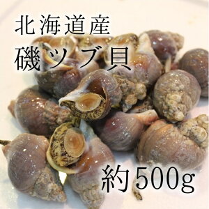 活 つぶ貝の人気商品 通販 価格比較 価格 Com 活 つぶ貝の人気商品 通販 価格比較 価格 Com