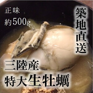yiMpjTCYIOY  y 500gi10|15jmLFnNNn O Nynamakaki-500g_Mpy500gz ①