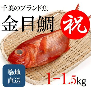 ō ڑ tYmLFnn 1-1.5kg/ L_C N p Mtg ykinmedai_tYL_C1-1.5Kz ①