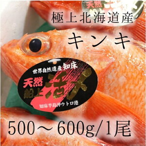 LL TCY 500-600g iLFjkCԑ/m/Y  Mtg p  ނLLyLL500-600gz ①