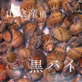 楽天市場 本 バイ 貝の通販