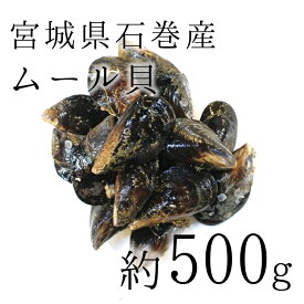 活けムール貝 生 中～大サイズ混合 国産（青森・宮城・岩手産など） 約500g 豊洲直送 特別お試しサイズ 他【ムール貝500g】 冷蔵