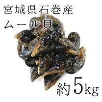 楽天市場】ムール貝 特大の通販