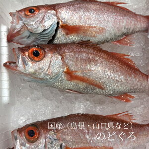  ̂ǂ A Ԃނ TCY iLFj1300gO YiOEVEREEtjAJc Mtg N hg mhOŷǂ300gz ①