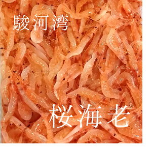 Gr CV Éx͘pY hgOK 500g LF Ⓚ {̏t̋yⓀGr500gz
