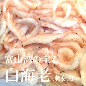白エビ 白海老 富山産 約200g 豊洲直送 【シロエビ200g】 冷凍 富山湾の宝石