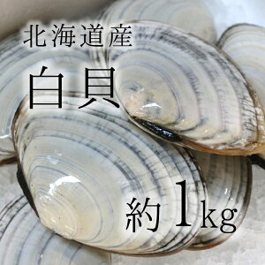 L LF kCY 1kg 50-60g/1 VKC TKC o^[Ă|IyL1Kz ①