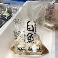 活しろうお 踊り食い 素魚 佐賀産 他 50g ヤマト当日便対象エリア限定 受取枠選択必須 常温 豊洲直送 シ…
