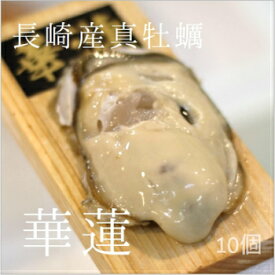 真牡蠣 華蓮 殻付き牡蠣 生食用カキ 長崎小長井産 （50-80g/1個） 10個 豊洲直送 かき カキ かれん カレン 動画有【華蓮10個】 冷蔵