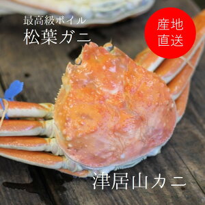 ō {CtKj YCKj ɒËRJj 1tmYnn NNn O  N Jj YCI Ε