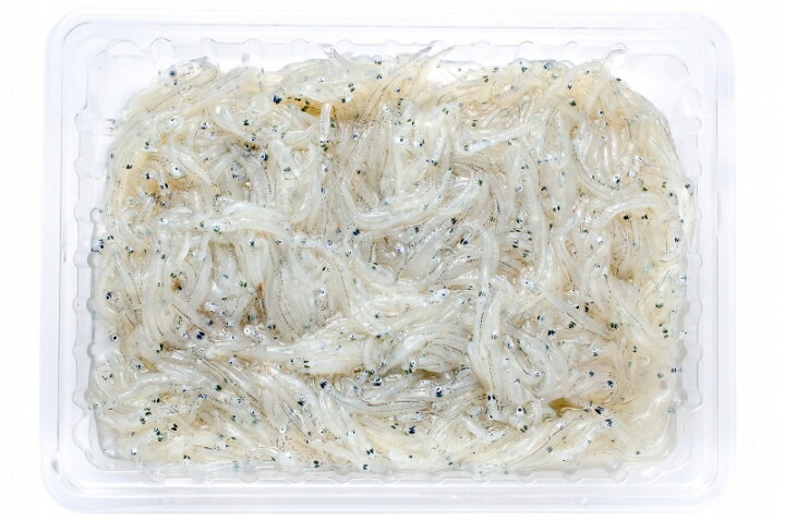 楽天市場】生しらす 生シラス 200g 100g×2パック 3〜4人前 超新鮮な無 