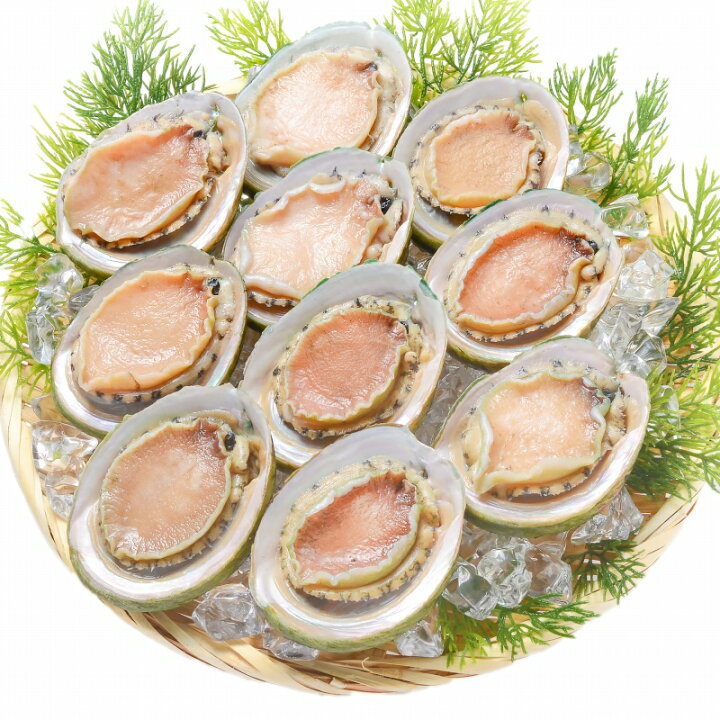 楽天市場 送料無料 あわび Lサイズ 1kg 1箱12個入り 殻つきお刺身用アワビ 高級料亭でも使用する新鮮な殻付きあわび あわび アワビ 鮑 お造り バター焼き ステーキ おせち 翡翠の瞳 貝柱 築地市場 豊洲市場 寿司 海鮮 おせち 単品おせち ギフト うに カニ まぐろなら