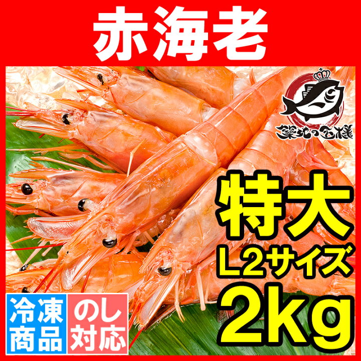 楽天市場 赤海老 赤えび 2kg 特大 L2 30 60尾 業務用 1箱 お刺身用 ぼたん海老を超える希少な超特大 大きくプリプリの赤海老 は甘みが違う 赤えび 赤エビ あかえび アカエビ アルゼンチン 寿司 バーベキュー ｂｂｑ 築地市場 豊洲市場 Smtb T R うに カニ まぐろ