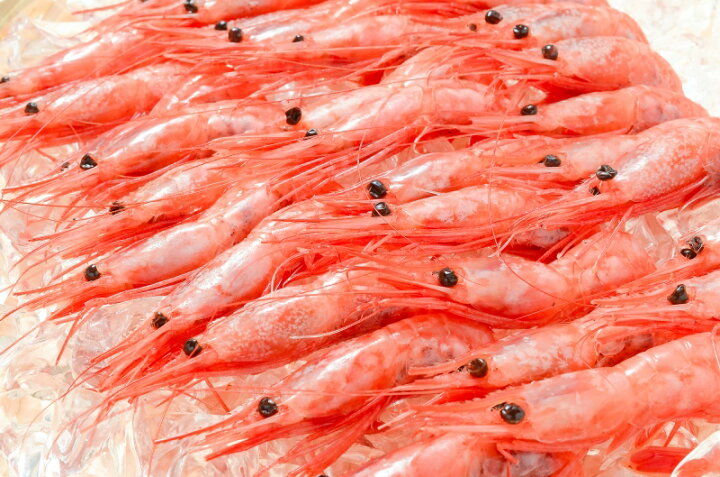 1794円 激安先着 甘エビ お刺身用 甘海老 1kg 大きい2Lサイズ45尾前後 甘えび BBQ バーベキュー 1794円 激安先着 甘エビ お刺身用 甘海老 1kg 大きい2Lサイズ45尾前後 甘えび BBQ バーベキュー