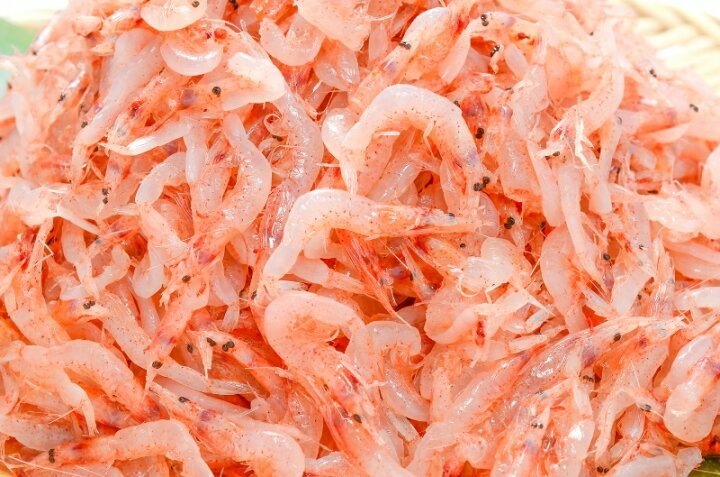 楽天市場 送料無料 桜海老 桜えび お刺身用 生桜エビ 500g 台湾産 冷凍 業務用 メガ盛り ご家庭で桜エビをたっぷりと 桜えび 桜エビ 桜海老 さくらえび サクラエビ 豊饒の海 華さくら 築地市場 豊洲市場 刺身 海鮮丼 Rn うに カニ まぐろなら築地の王様