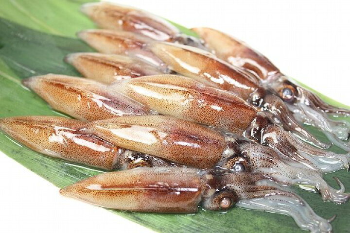 楽天市場 生ホタルイカ ほたるいか 60尾 約150g 3パック お刺身ｏｋ 新物ほたるいか シーズン最盛期 富山産ほたるいかは大きくぷりぷりの食感 いか イカ ほたるイカ ほたるいか 蛍烏賊 刺身 烏賊 築地市場 豊洲市場 ギフト Rn うに カニ まぐろなら築地の王様