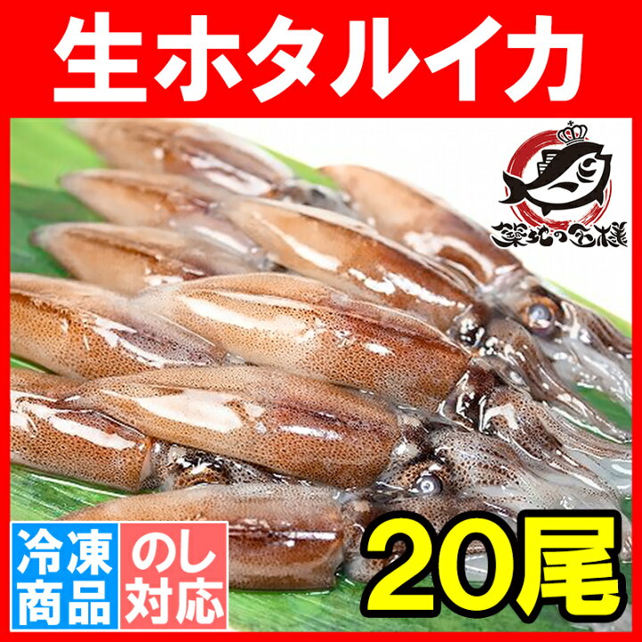 楽天市場 生ホタルイカ ほたるいか 尾 約150g お刺身ｏｋ 新物ほたるいか シーズン最盛期 富山産ほたるいかは大きくぷりぷりの食感 いか イカ ほたるイカ ほたるいか 蛍烏賊 刺身 烏賊 築地市場 豊洲市場 ギフト Rn うに カニ まぐろなら築地の王様