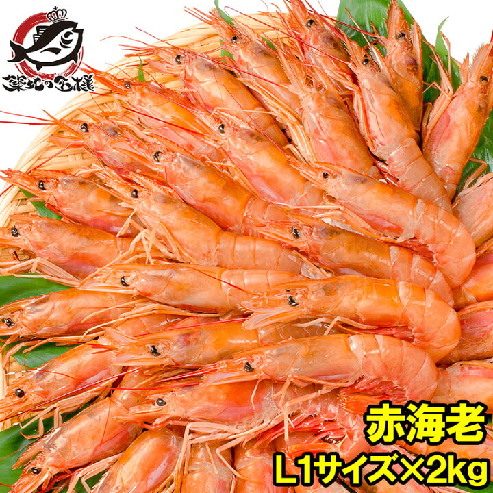 楽天市場 赤海老 赤えび 2kg 超特大 L1 40尾 業務用 1箱 お刺身 ぼたん海老を超える希少な超特大 大きくプリプリの赤海老は甘みが違う 赤えび 赤エビ あかえび アカエビ アルゼンチン 寿司 バーベキュー ｂｂｑ 築地市場 豊洲市場 Smtb T R うに カニ まぐろ