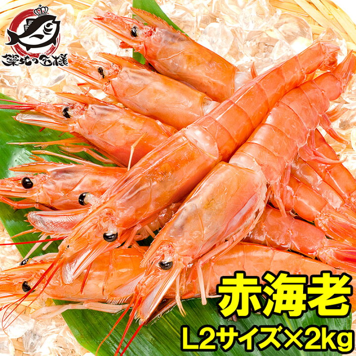 楽天市場 赤海老 赤えび 2kg 特大 L2 30 60尾 業務用 1箱 お刺身用 ぼたん海老を超える希少な超特大 大きくプリプリの赤海老 は甘みが違う 赤えび 赤エビ あかえび アカエビ アルゼンチン 寿司 バーベキュー ｂｂｑ 築地市場 豊洲市場 Smtb T R うに カニ まぐろ