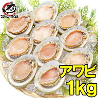 送料無料 あわび Lサイズ 1kg 1箱12個入り 殻つきお刺身用アワビ 高級料亭でも使用する新鮮な殻付きあわ…