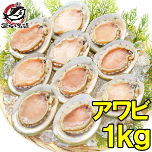 送料無料 あわび Lサイズ 1kg 1箱12個入り 殻つきお刺身用アワビ 高級料亭でも使用する新鮮な殻付きあわび あわび アワビ 鮑 お造り バター焼き ステーキ おせち 翡翠の瞳 貝柱 築地市場 豊洲
