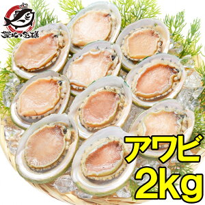 送料無料 あわび Lサイズ 2kg 合計24個 1箱12個入り 殻つきお刺身用アワビ 高級料亭でも使用する新鮮な殻付きあわび あわび アワビ 鮑 お造り バター焼き ステーキ おせち 翡翠の瞳 貝柱 築地