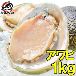 送料無料 あわび Lサイズ 1kg 1箱12個入り 殻つきお刺身用アワビ 高級料亭でも使用する新鮮な殻付きあわび あわび アワビ 鮑 お造り バター焼き ステーキ おせち 翡翠の瞳 貝柱 築地市場 豊洲