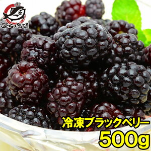 ⓀubNx[ 500g×1pbN u₩Ȏ_̃ubNx[Ղ ubNx[ ⓀubNx[ nubNx[ Ⓚt[c ⓀfU[g ⓀHi Ɩp ii