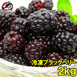 ⓀubNx[ 2kg 500g×4pbN eubNx[Ղ ubNx[ ⓀubNx[ nubNx[ Ⓚt[c ⓀfU[g ⓀHi Ɩp iiX X
