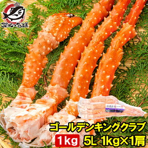  S[fLONu ^oKjɂȂ| ^oKj CoKj 5LTCY Ⓚd 1kgO ×1 Ki {CⓀ  ZNV  Jj I VN 