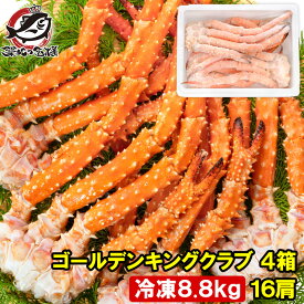 送料無料 ゴールデンキングクラブ 4箱 冷凍総重量 8.8kg 合計16肩 解凍後 7.2kg タラバガニにも負けない旨味 タラバガニ科 イバラガニ 正規品 ボイル冷凍 足 肩セクション かに カニ 蟹 豊洲市場 カニ鍋 焼きガニ かに脚 ギフト 贈答用 お歳暮 単品おせち 海鮮おせち