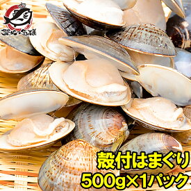 はまぐり ハマグリ 蛤 500g ボイル 冷凍 潮汁 焼きハマグリ お吸い物 澄まし汁 酒蒸し バター焼き ひな祭り 築地市場 豊洲市場 貝 料理 おせち ギフト