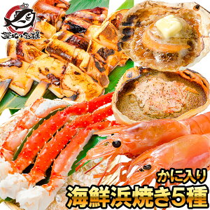  CNlĂ 5Zbg ɓ CNo[xL[Zbg Lv \Lv BBQ kCYق10 ɂ݂b2 ₶10{ ԊCVL1TCY2kg ^oKj5L 1k