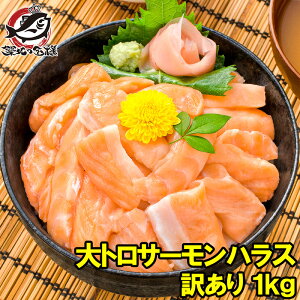  󂠂T[gnX؂藎Ƃ1kg HpXCX 500g×2 킯 A AgeBbNT[ T[nX gT[ nX  hg Ɩp zns LF